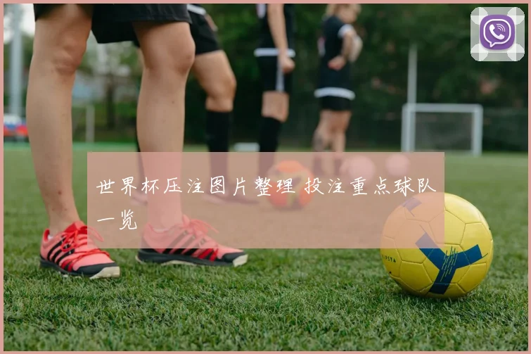 世界杯压注图片整理 投注重点球队一览