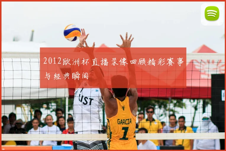 2012欧洲杯直播录像回顾精彩赛事与经典瞬间