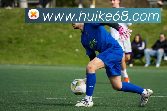 米乐yy易游官网APP 封面图